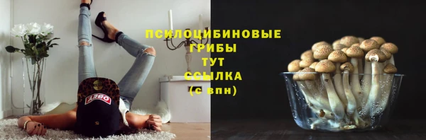 гидра Баксан