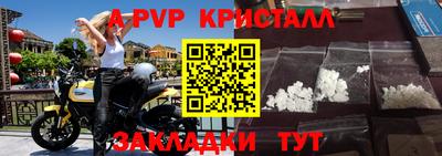 стаф Кунгур