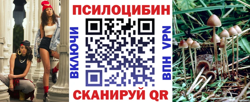 OMG маркетплейс  Гай  Галлюциногенные грибы Psilocybine cubensis 
