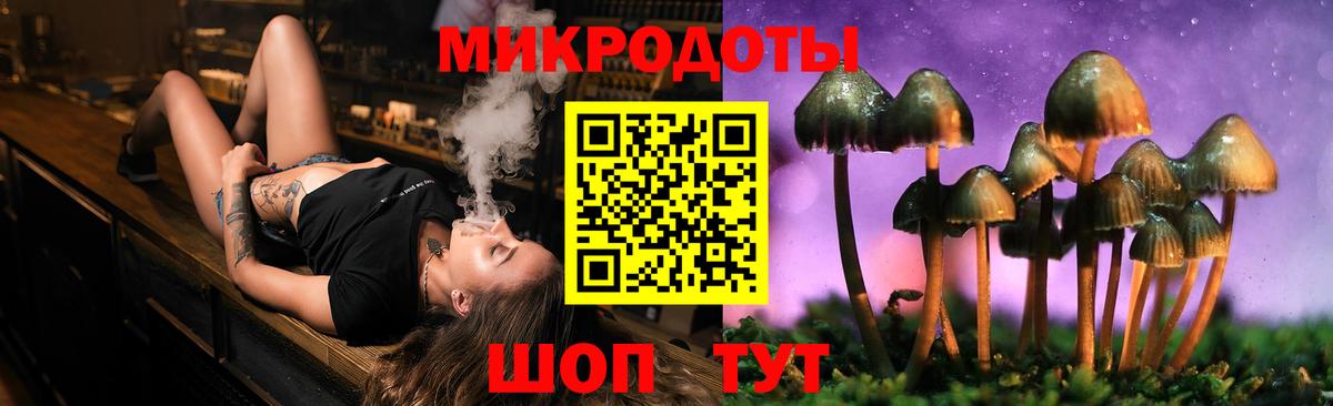 Галлюциногенные грибы мицелий  Псилоцибиновые грибы Psilocybine cubensis  Гай  Вход с VPN 